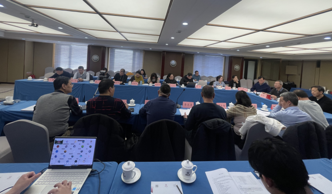 中国气体协会2024年第二批团体标准终审会在北京召开(图2)